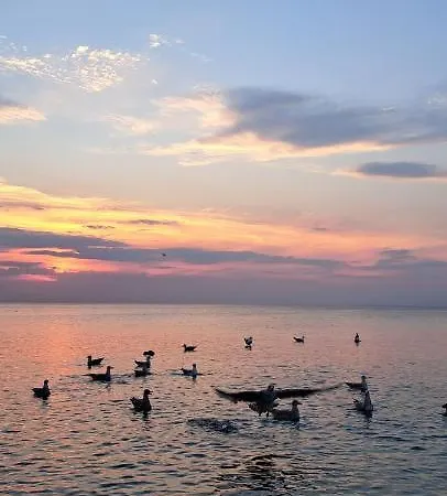 Kapitanskie Z Sauna I Balia Z Jacuzzi * Любятово