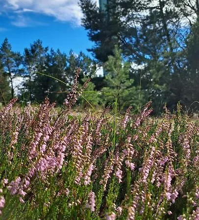 Kapitanskie Z Sauna I Balia Z Jacuzzi