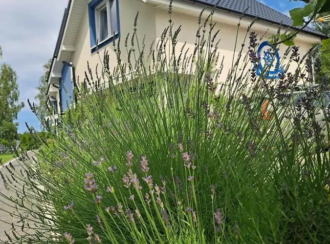 Kapitanskie Z Sauna I Balia Z Jacuzzi Lubiatowo (Pomerania)