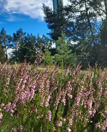 Kapitanskie Z Sauna I Balia Z Jacuzzi